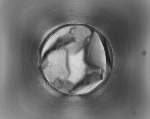 X0000112900838200909181934