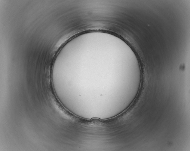 X0000112900842200909181934