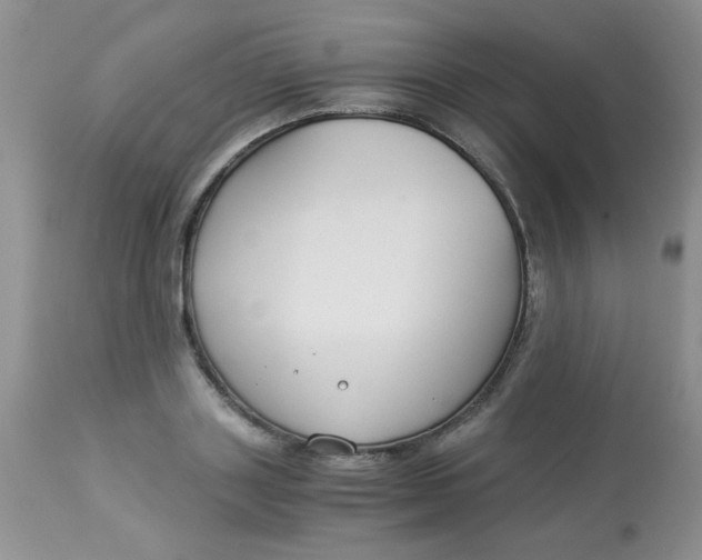 X0000112900843200909181934