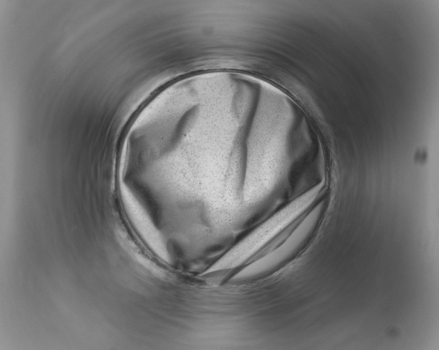 X0000112900844200909181934