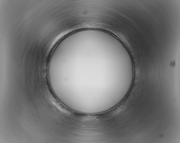 X0000112900846200909181934