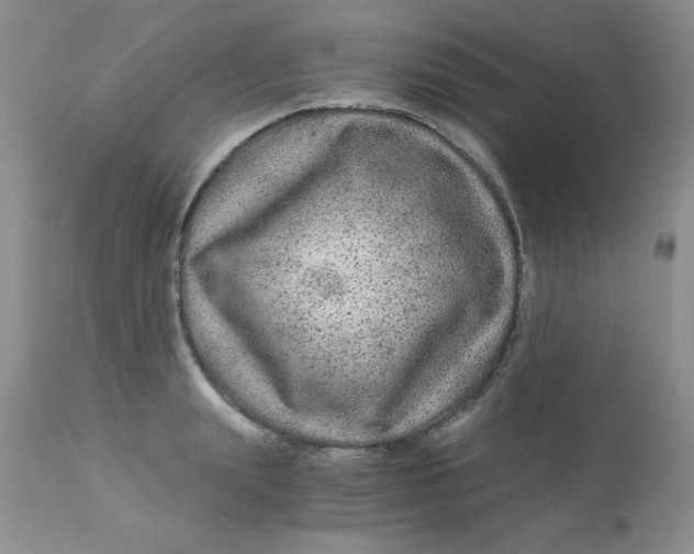 X0000112900847200909181934