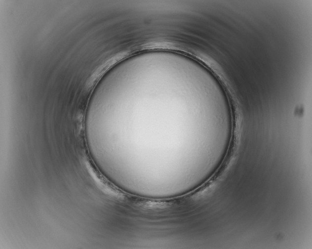 X0000112900849200909181934