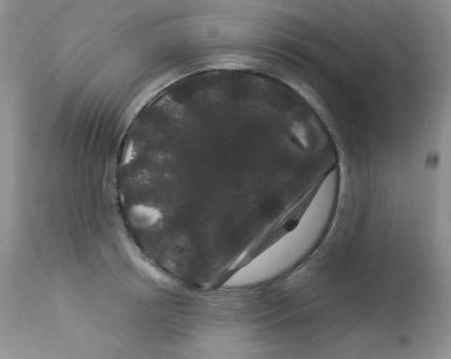 X0000112900850200909181934