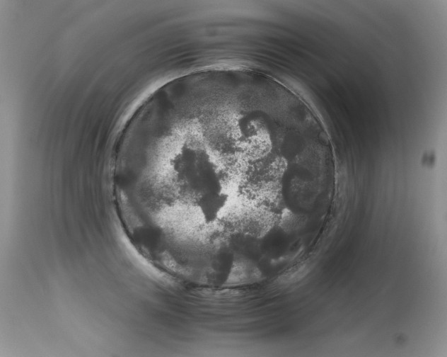 X0000112900851200909181934