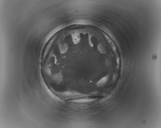 X0000112900853200909181934