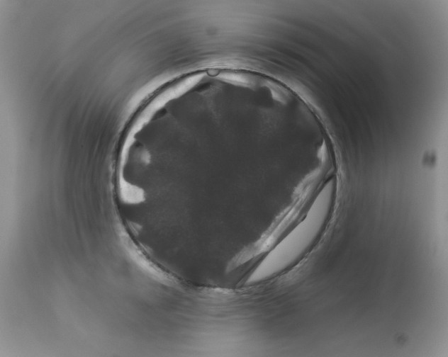 X0000112900854200909181934