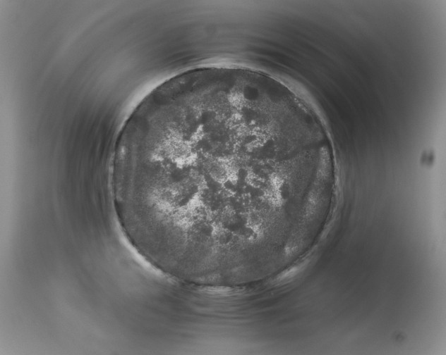 X0000112900855200909181934