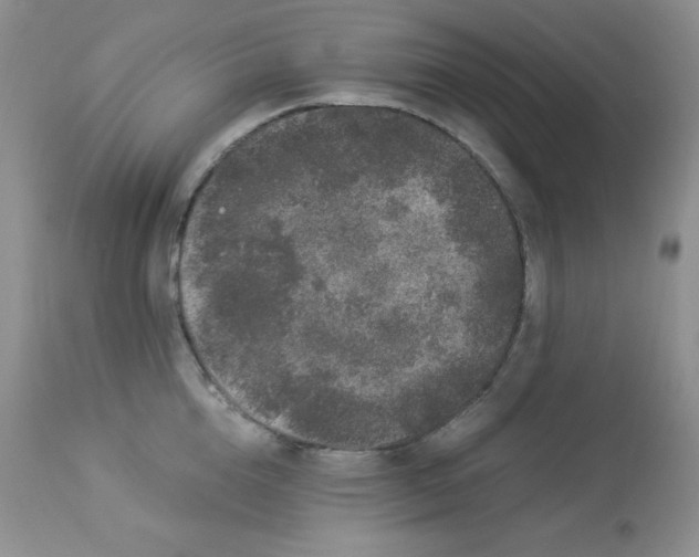 X0000112900856200909181934