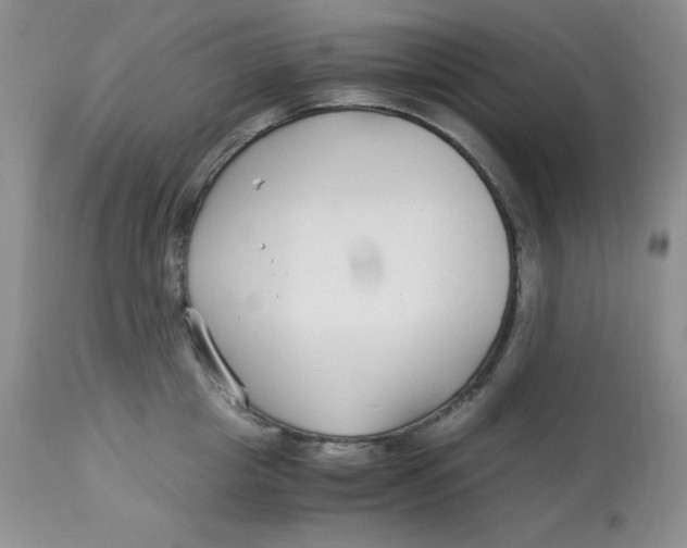 X0000112900857200909181934