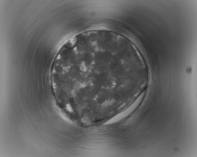 X0000112900858200909181934