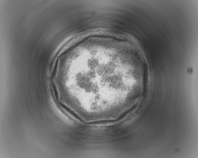 X0000112900859200909181934