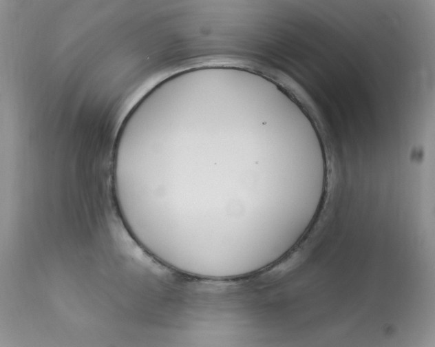 X0000112900860200909181934