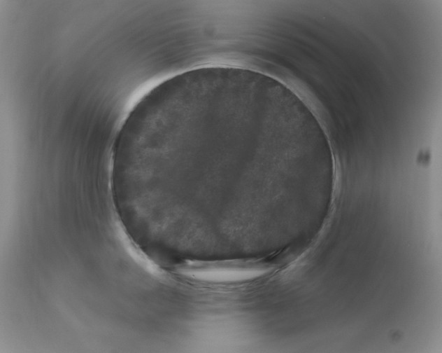 X0000112900862200909181934
