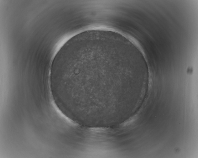 X0000112900863200909181934
