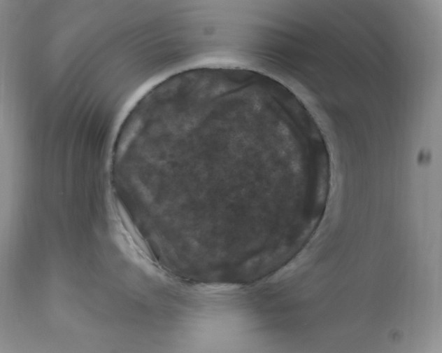 X0000112900864200909181934