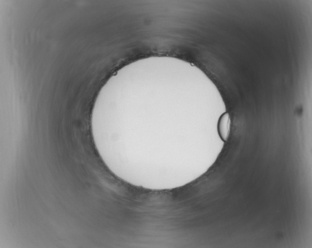 X0000112900865200909181933