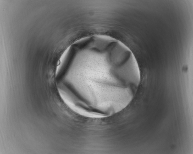 X0000112900866200909181933
