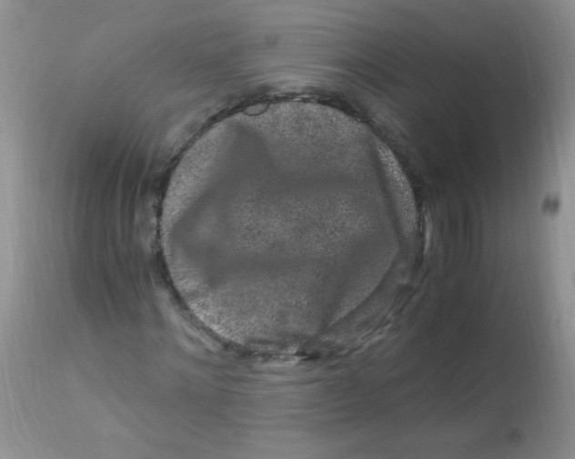 X0000112900868200909181933