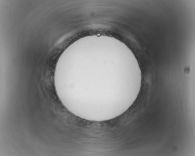 X0000112900869200909181933