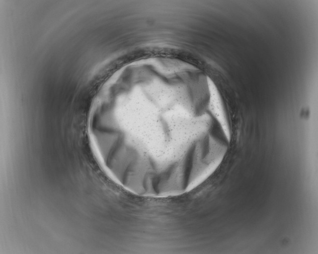 X0000112900870200909181933