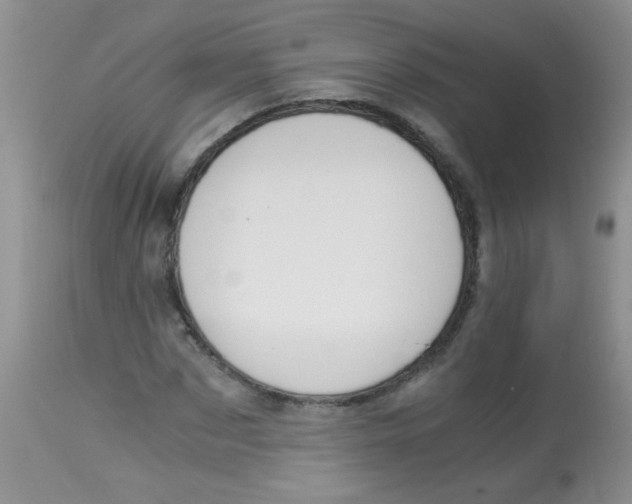 X0000112900873200909181933