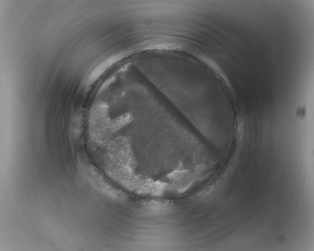 X0000112900874200909181933