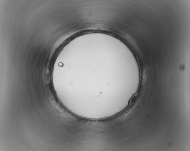 X0000112900876200909181933