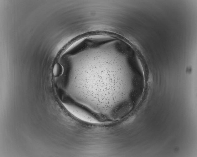 X0000112900877200909181933