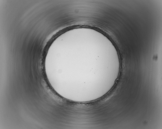 X0000112900880200909181933
