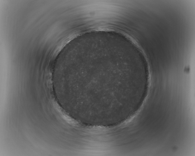 X0000112900881200909181933