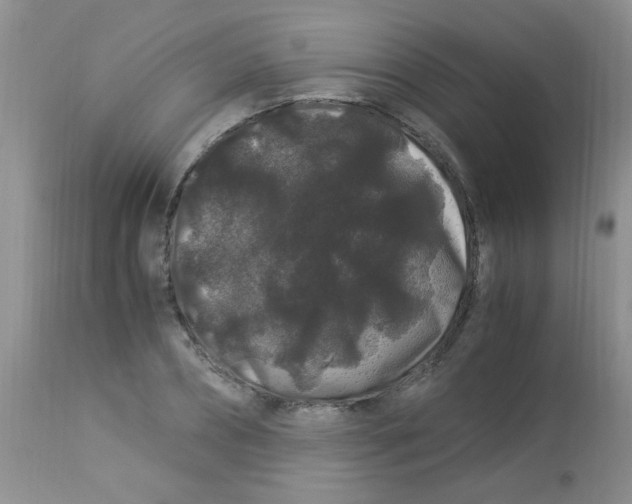 X0000112900882200909181933