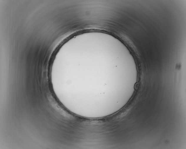 X0000112900884200909181933