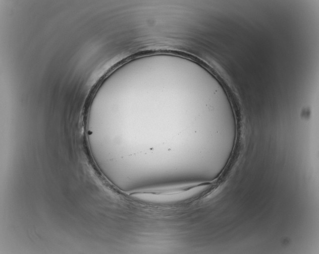 X0000112900885200909181933