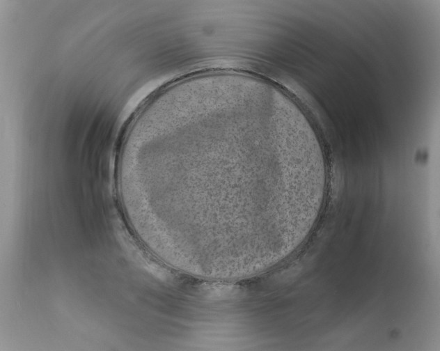 X0000112900886200909181933