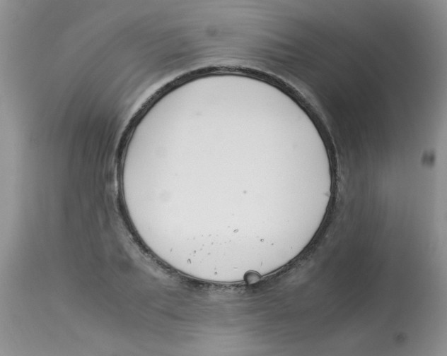X0000112900887200909181933