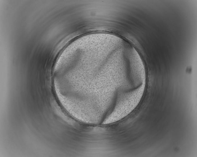 X0000112900890200909181933