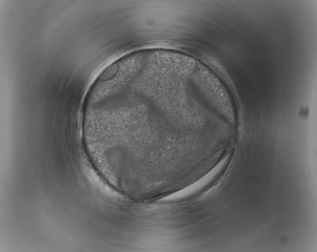 X0000112900892200909181933