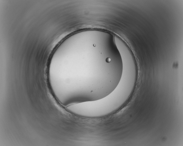 X0000112900893200909181933