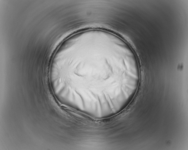 X0000112900895200909181933