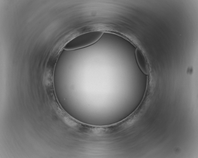 X0000112900897200909181933