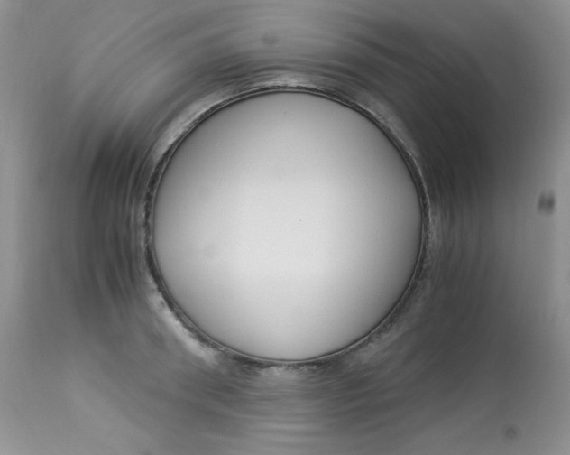 X0000112900898200909181933
