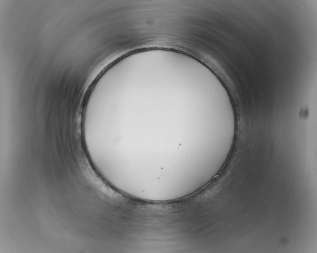 X0000112900900200909181933