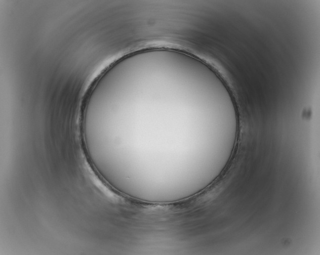 X0000112900902200909181933