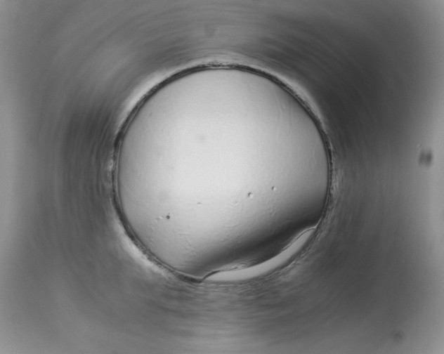 X0000112900903200909181933
