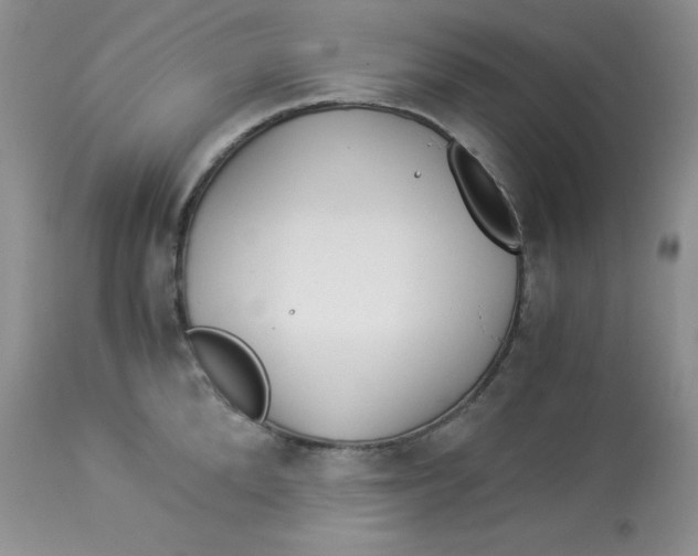 X0000112900904200909181933