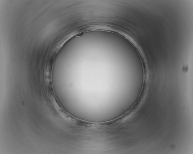 X0000112900905200909181933