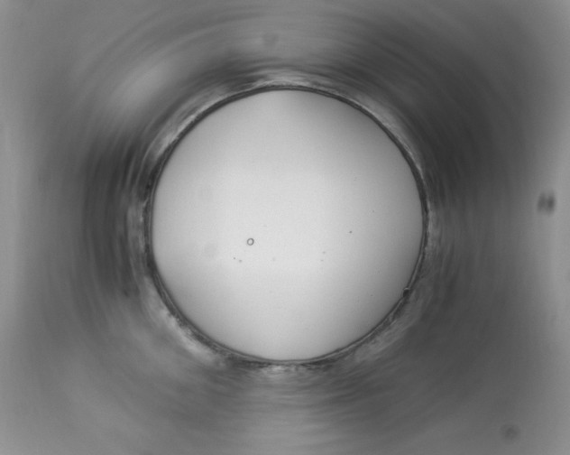X0000112900906200909181933