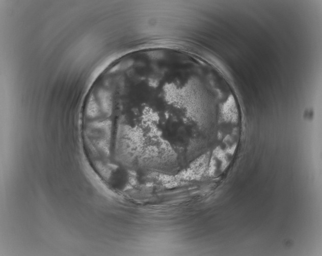X0000112900907200909181933