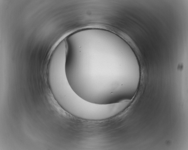 X0000112900908200909181933